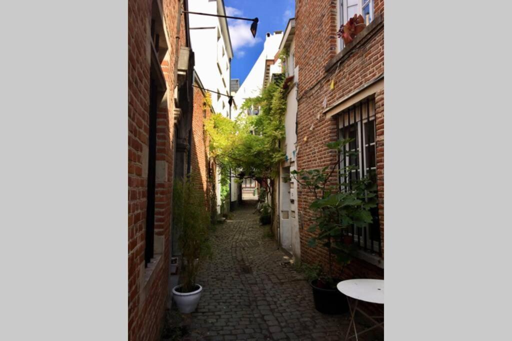 En Plein Coeur De Bruxelles. Superbe Duplex.A Voir! 外观 照片